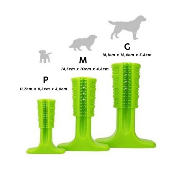 Brinquedo Mordedor Escova De Dente Para Cachorro Medio - Imagem 7
